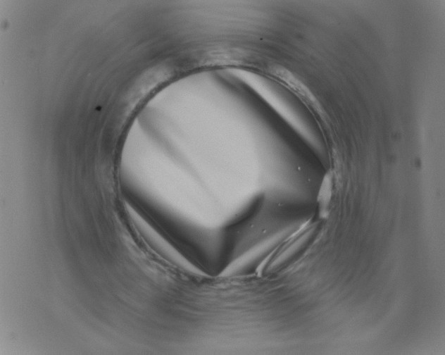 X0000070880386200607071953