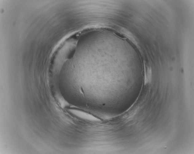 X0000070880387200607071953