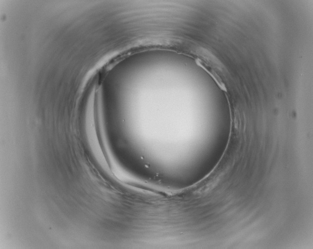 X0000070880388200607071953