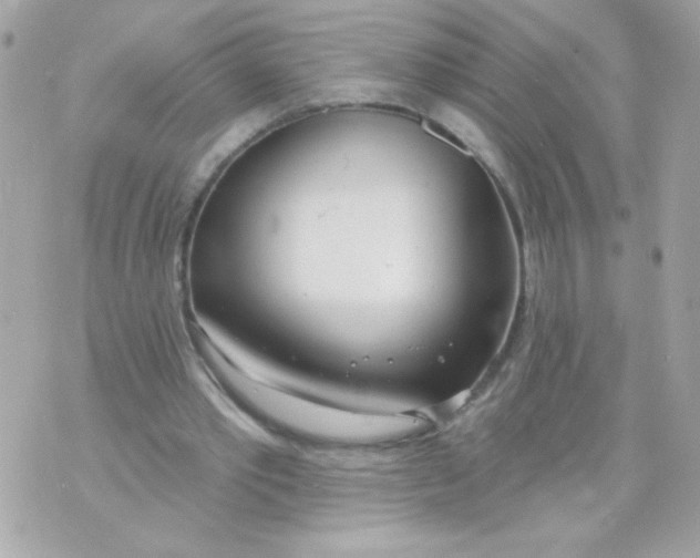 X0000070880389200607071953