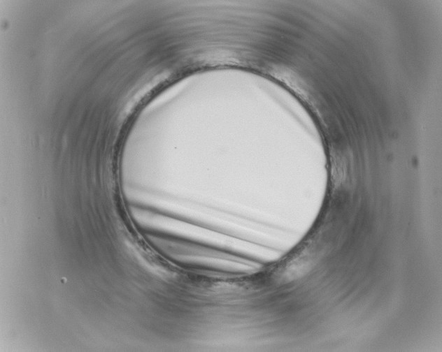 X0000070880390200607071953