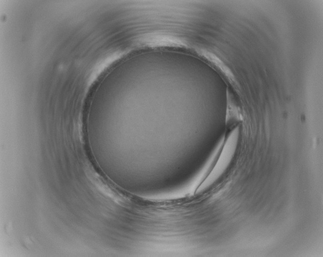 X0000070880391200607071953