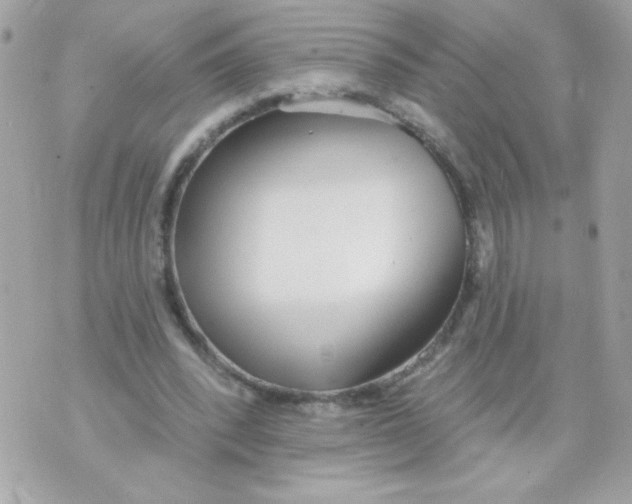 X0000070880392200607071953