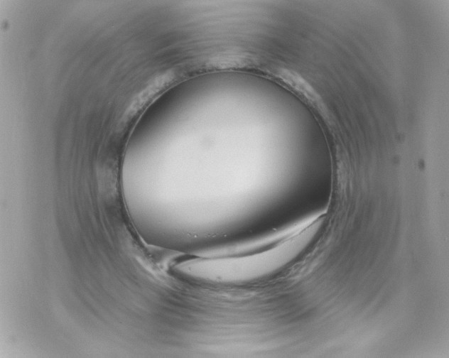 X0000070880393200607071953