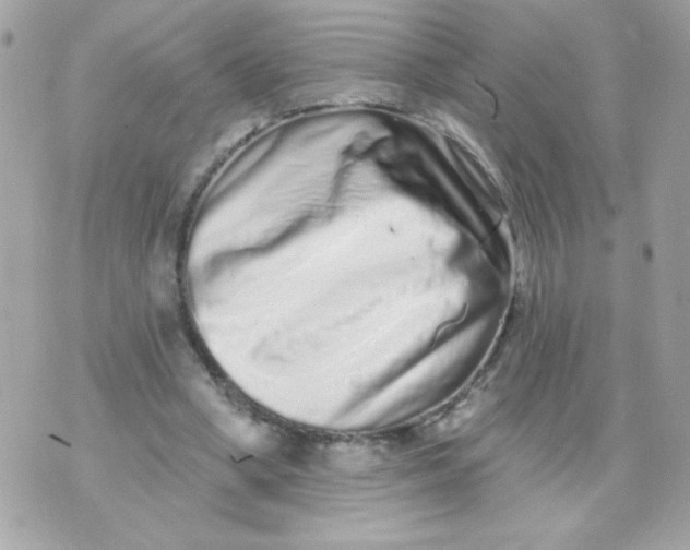 X0000070880394200607071953