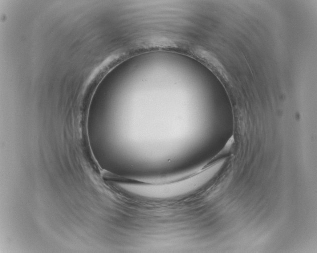 X0000070880395200607071953