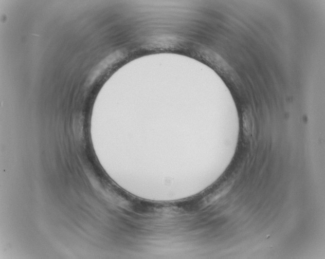 X0000070880396200607071953