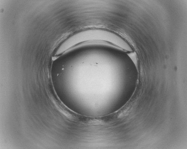 X0000070880397200607071953