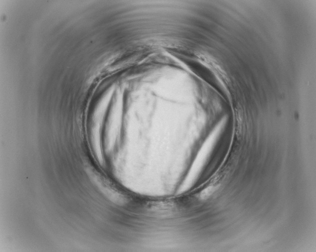 X0000070880398200607071953