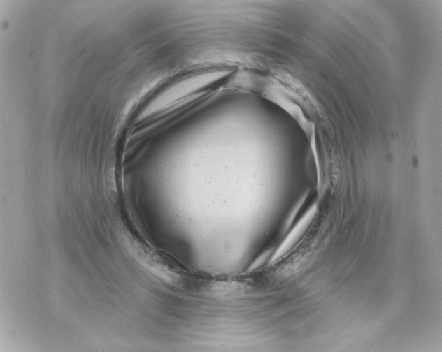 X0000070880399200607071953