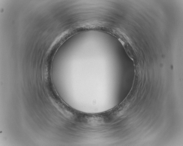 X0000070880400200607071953