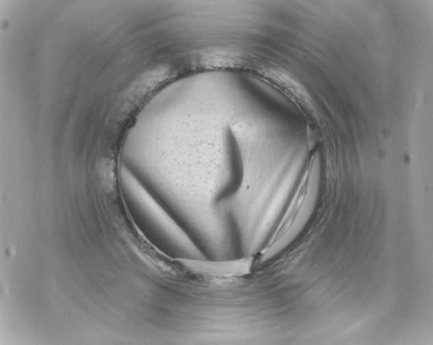 X0000070880401200607071953