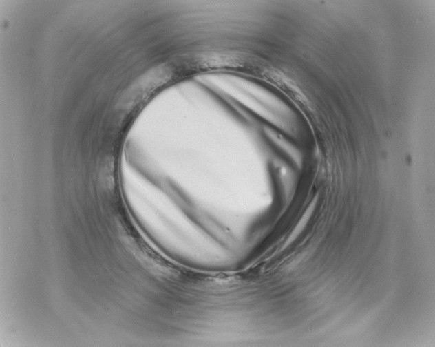 X0000070880402200607071953