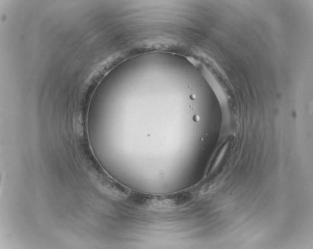 X0000070880403200607071953