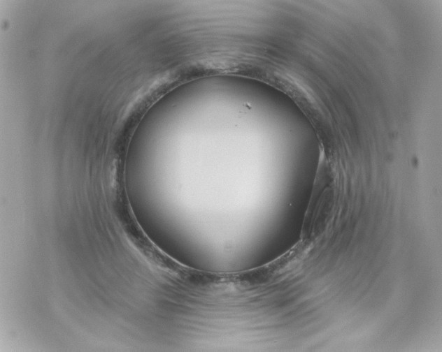 X0000070880404200607071953