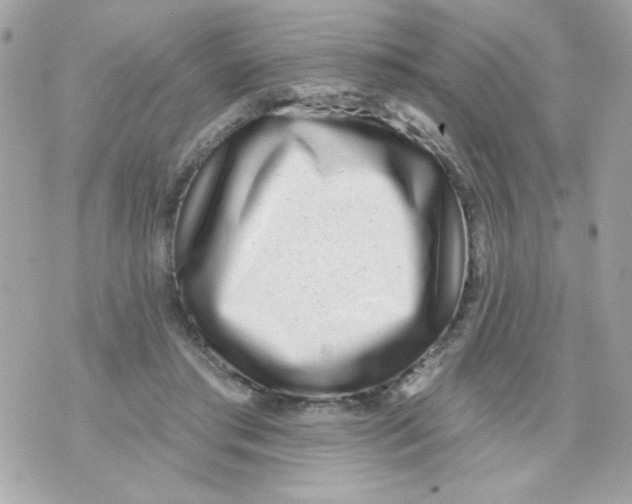 X0000070880405200607071953