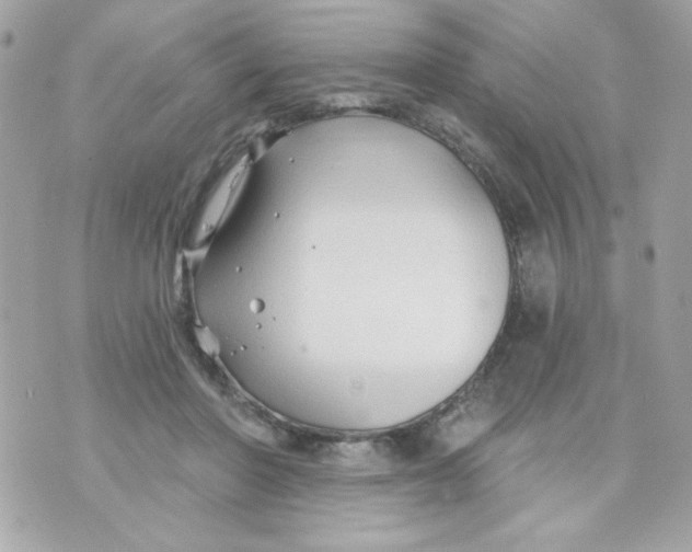 X0000070880406200607071953