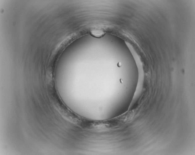 X0000070880407200607071953