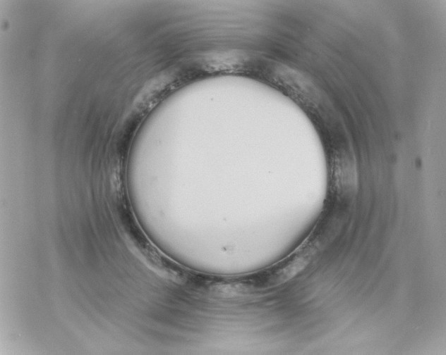 X0000070880408200607071953