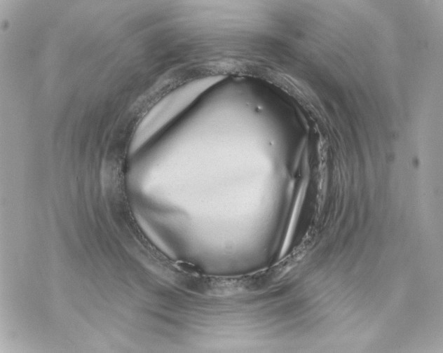 X0000070880409200607071953