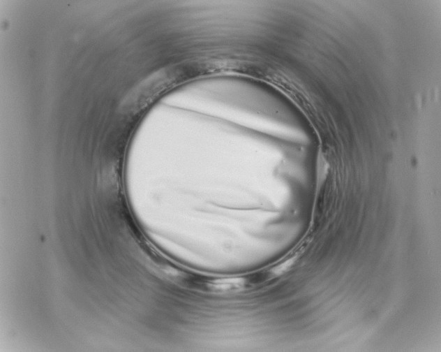 X0000070880410200607071953