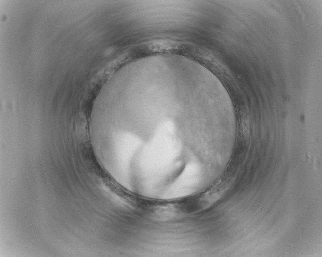 X0000070880411200607071953