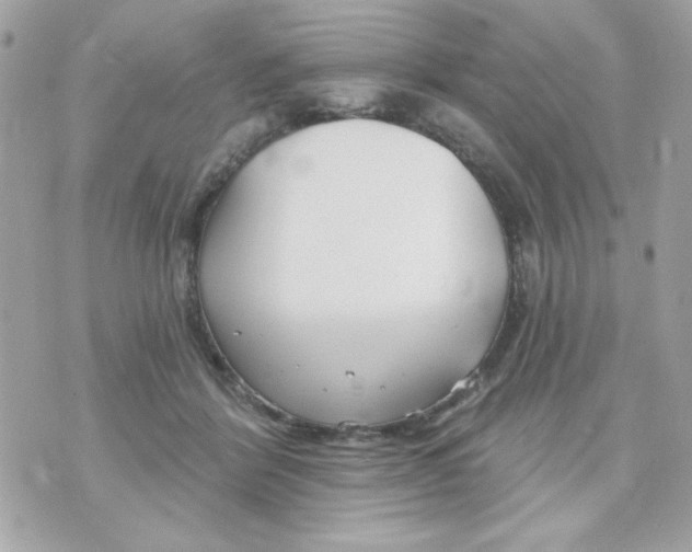 X0000070880412200607071953