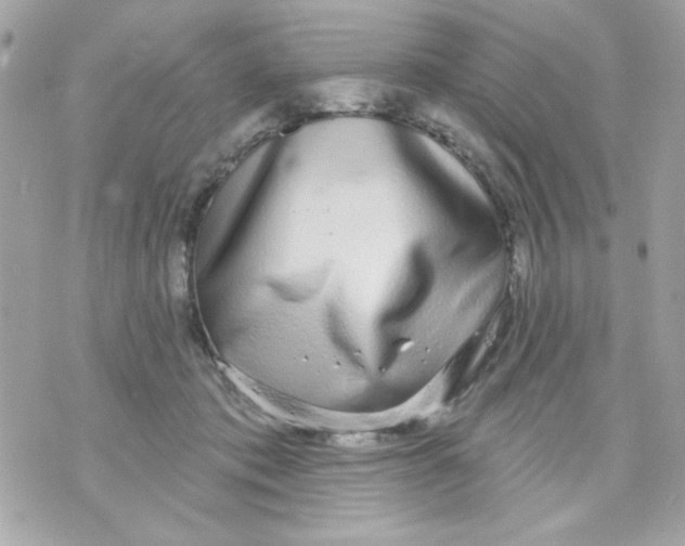 X0000070880413200607071953