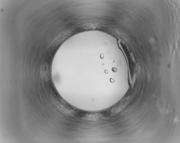 X0000070880414200607071952