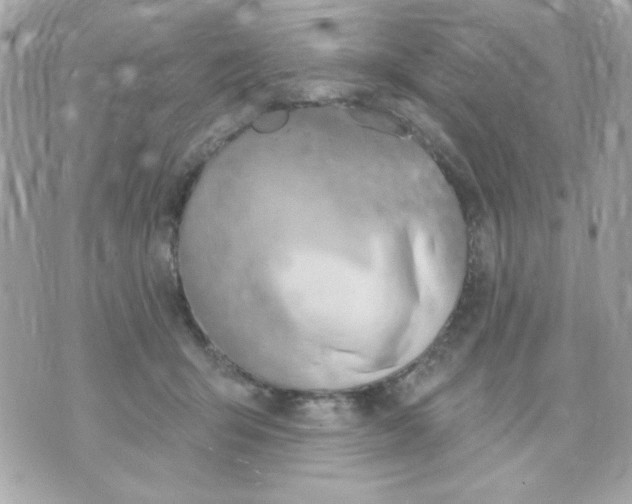 X0000070880415200607071952