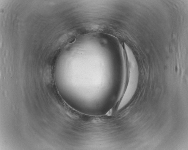 X0000070880416200607071952