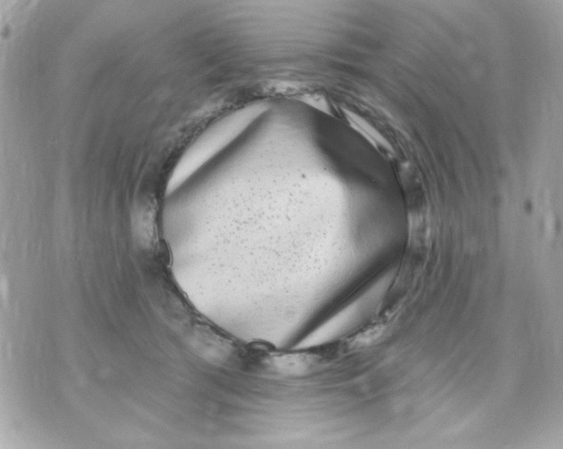 X0000070880417200607071952