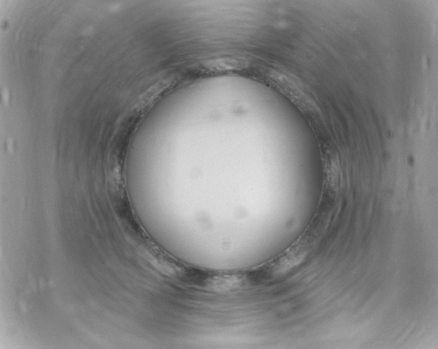 X0000070880418200607071952