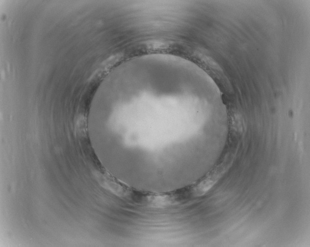 X0000070880419200607071952