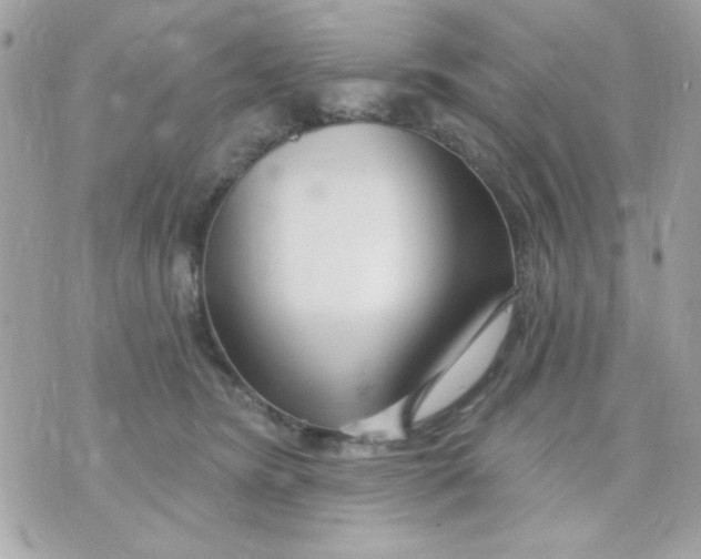 X0000070880420200607071952