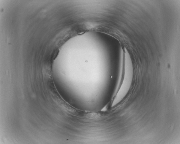 X0000070880421200607071952