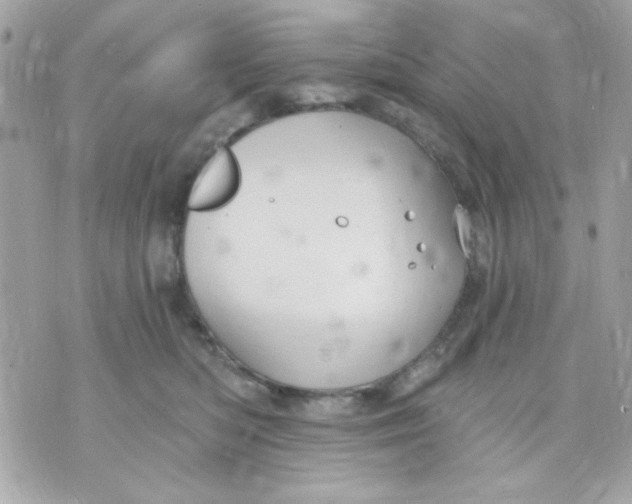 X0000070880422200607071952