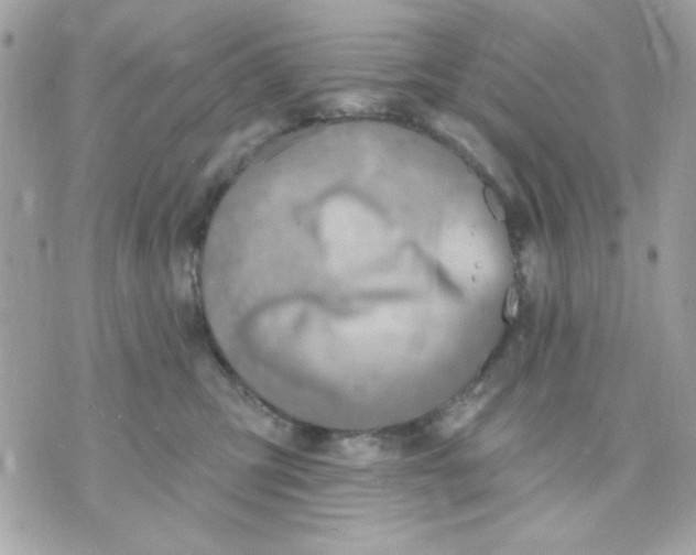 X0000070880423200607071952