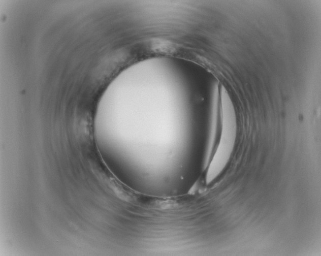 X0000070880424200607071952