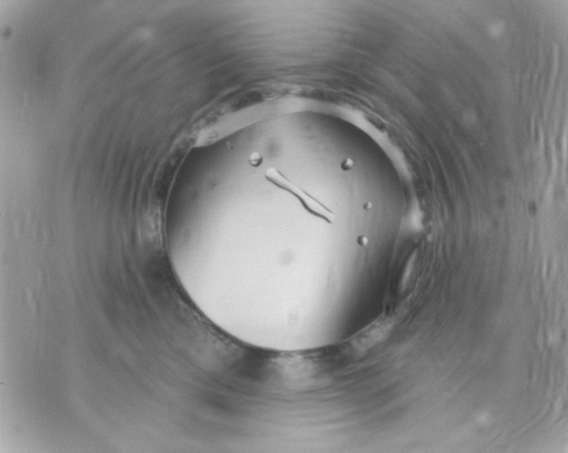 X0000070880425200607071952