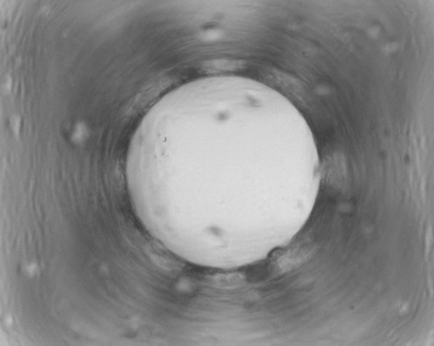 X0000070880426200607071952