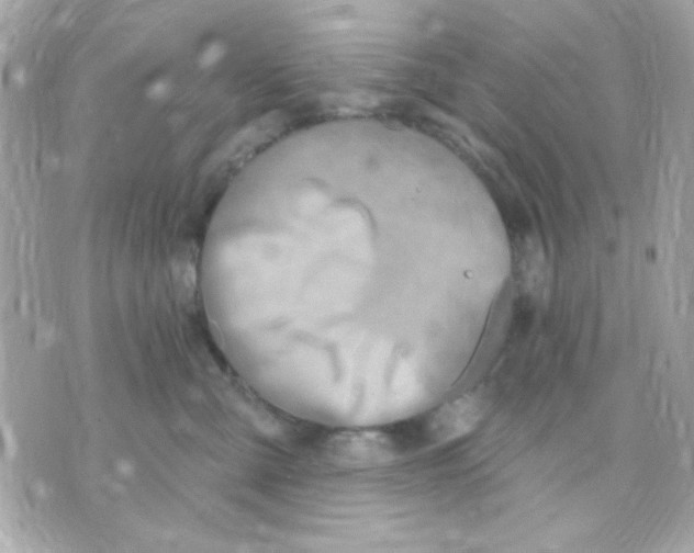 X0000070880427200607071952