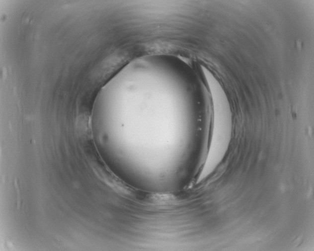 X0000070880429200607071952