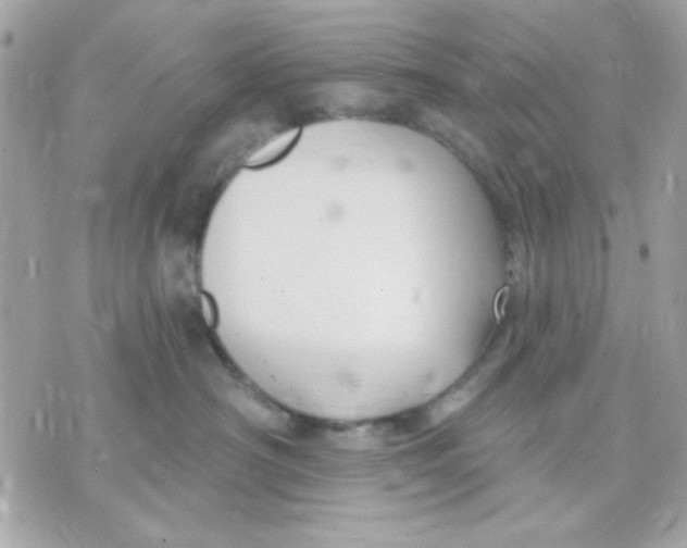 X0000070880430200607071952