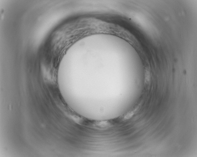 X0000070880431200607071952