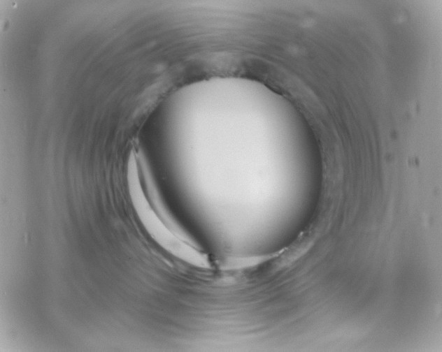 X0000070880432200607071952