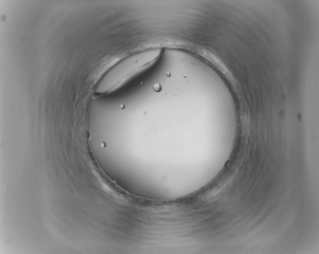 X0000070880433200607071951