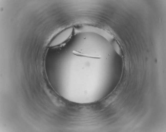 X0000070880434200607071951