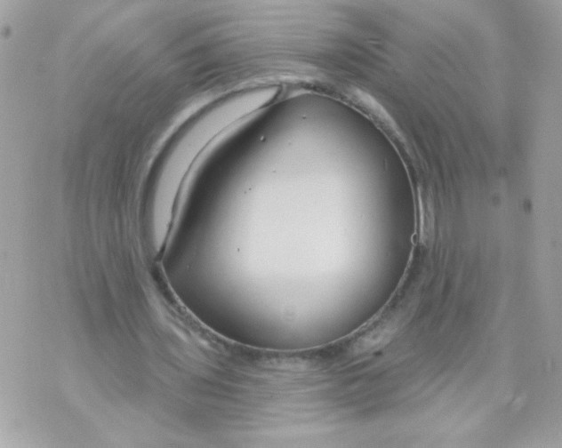 X0000070880435200607071951