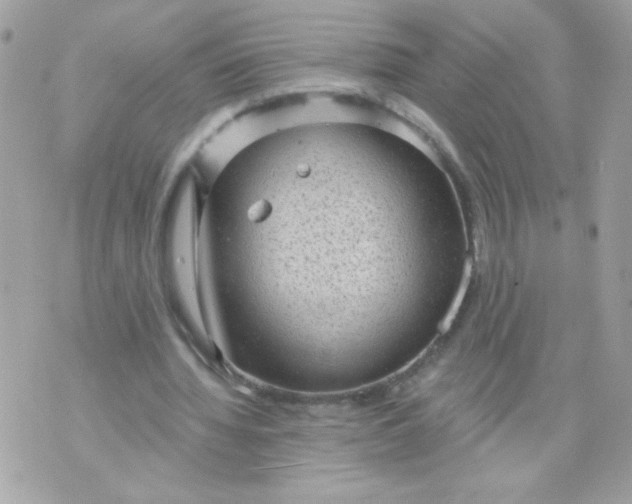 X0000070880436200607071951